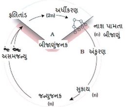 Question diagram