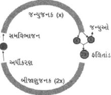 Question diagram