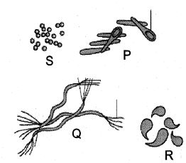Question diagram