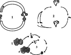 Question diagram