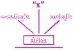 Question diagram