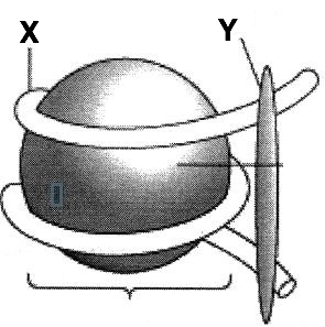 Question diagram