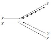 Question diagram