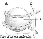 Question diagram