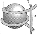Question diagram