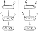 Question diagram