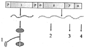 Question diagram