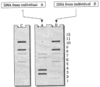 Question diagram