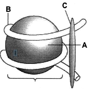 Question diagram