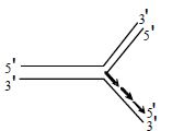 Option C