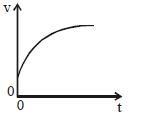 Option B