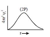 Option B