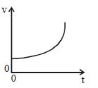 Option C
