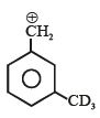 Option C