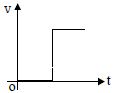 Option D