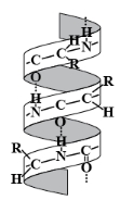 Solution diagram