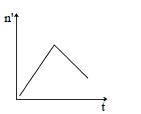 Option B