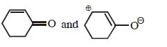 Option B