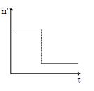 Option C