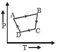 Option C