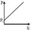 Option B