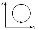 Option B