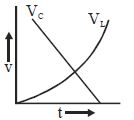 Option C