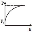Option C