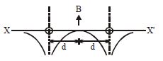 Option C
