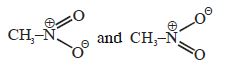 Option D