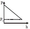 Option D