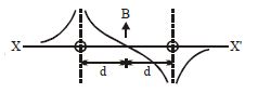 Option D