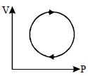 Option D