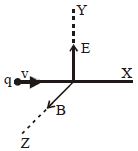 Option B