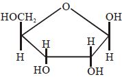 Option B
