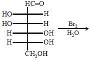 Option B