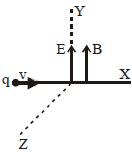 Option C