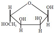 Option C