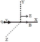 Option D