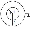 Option B