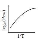 Option B