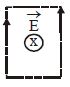 Option B