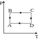 Option B