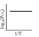 Option C