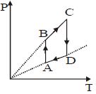 Option C