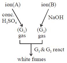 Question diagram