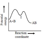 Option B