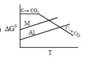 Option B