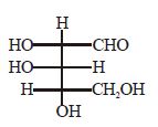 Option B