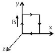 Option B
